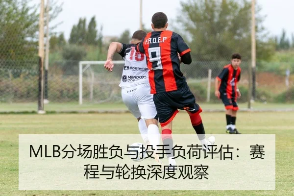 fen-chang-sheng-fu-yu-tou-shou-fu-he-ping-gu-sai-cheng-yu-lun-huan-shen-du-guan-cha-2-464.jpg